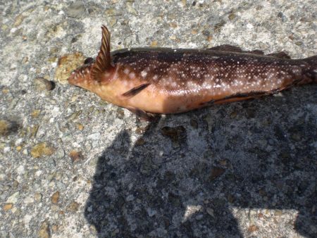 昨日に引き続き