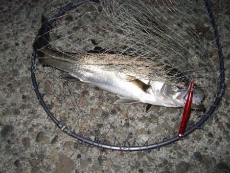 にょろにょろ初Hit！！