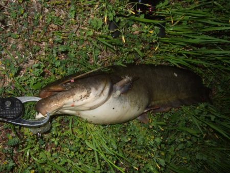 久々の水面爆発