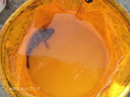 小1時間のファミリーフィッシング