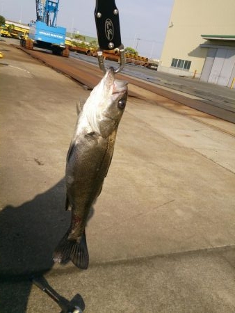 今年も停泊船ゲ―ム開幕だよ