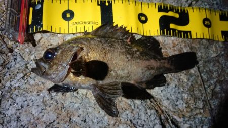 短時間メバリング