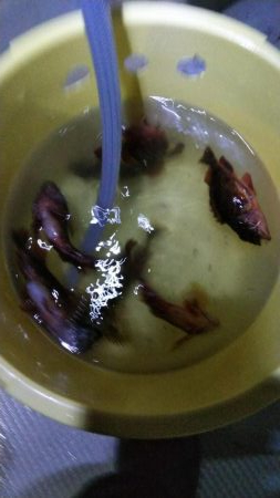 【釣人家】ロックフィッシュショート便