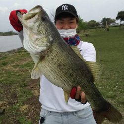 念願のロクマル様