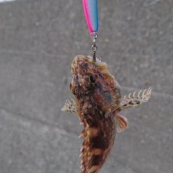 愛しのガッちゃん！