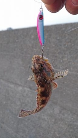 愛しのガッちゃん！