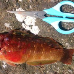 もう少しサイズほしいな