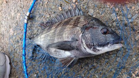 ゴールデンウィーク釣行1日目