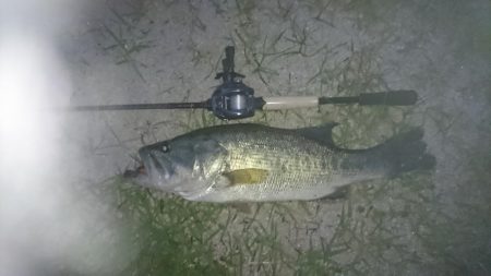 諦めかけたその時