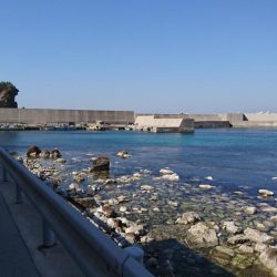 穴釣りしてみた