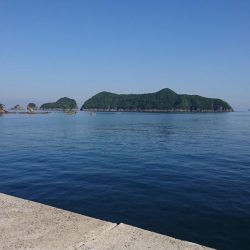 またしてもハマチちゃん