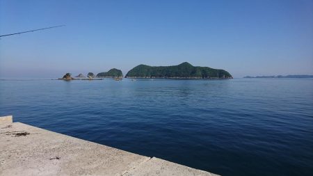 またしてもハマチちゃん