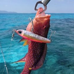 オフショア初挑戦GTはお留守