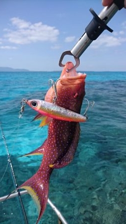 オフショア初挑戦GTはお留守