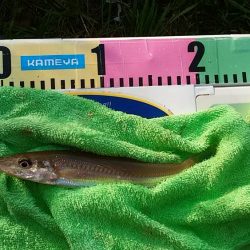 シーズン初の境水道釣行