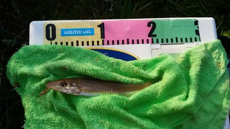 シーズン初の境水道釣行