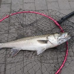 やっときた(о´∀`о)