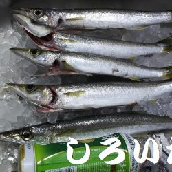 和歌山に行きました！