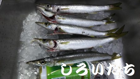 和歌山に行きました！