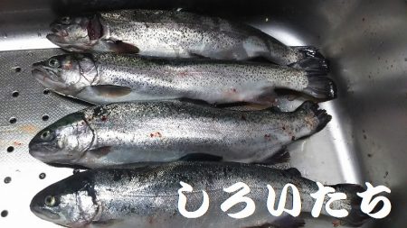 水宝さんにお世話になりました。