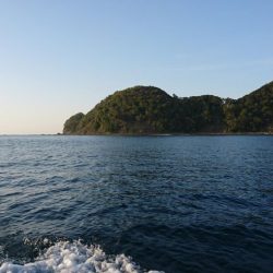 徳島県南タイラバ