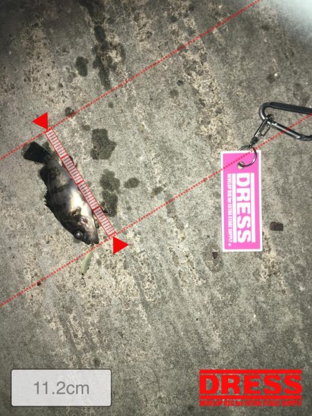 プラグでのメバリング