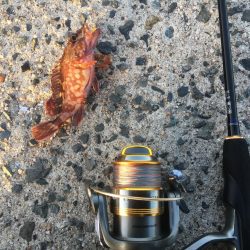 超ライトゲーム