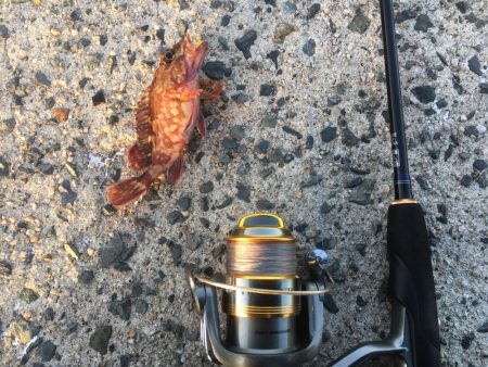 超ライトゲーム