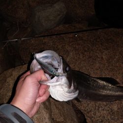 苦手の潮で挑戦