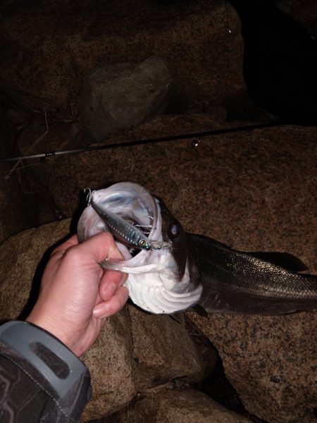 苦手の潮で挑戦