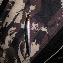 チーバスとボラとベイト