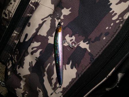 チーバスとボラとベイト