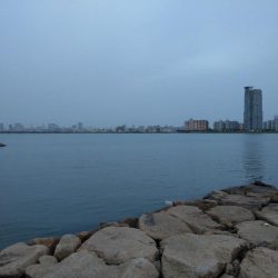 アレは何っだたのか?