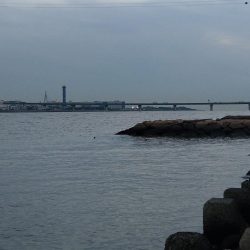 本命は釣れなくてもキミは釣れるよね!?