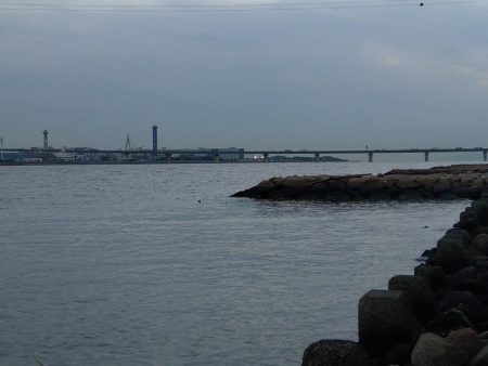 本命は釣れなくてもキミは釣れるよね!?