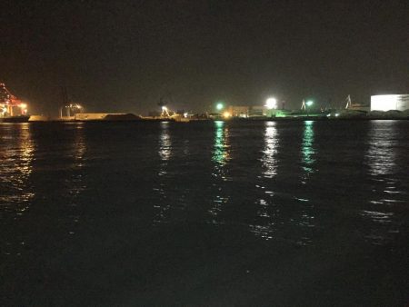 チーバスからのボラ祭り