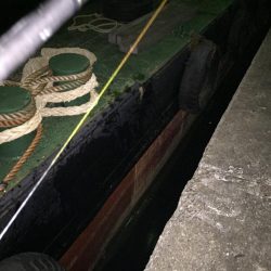 際打ちでデカガシラとシーバス