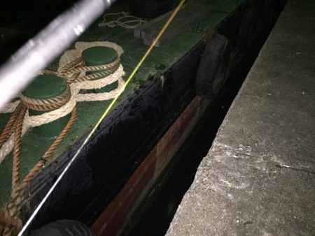 際打ちでデカガシラとシーバス