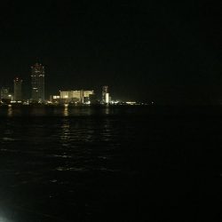 メバル狙いできたものの