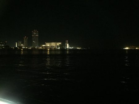 メバル狙いできたものの