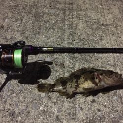 天保山、ボトムゲームでつ抜け達成！