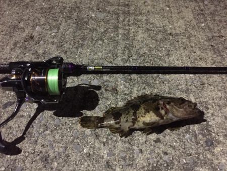 天保山、ボトムゲームでつ抜け達成！