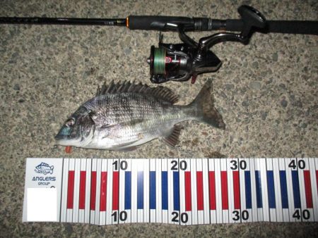 今年初のチニングにてGET(σ・∀・)σｹﾞｯﾂ!!