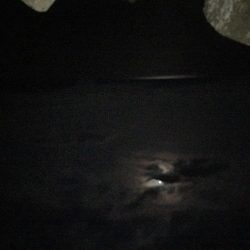 ジグ単でガシラ