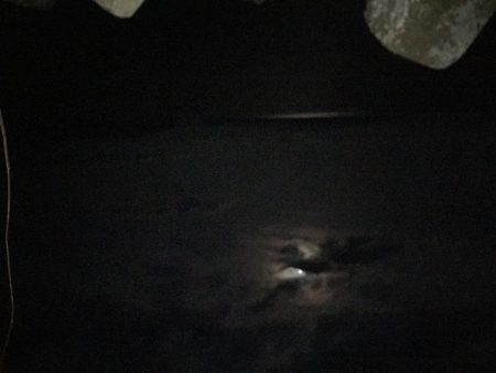 ジグ単でガシラ