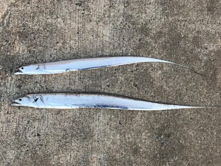 あたりマズマズ