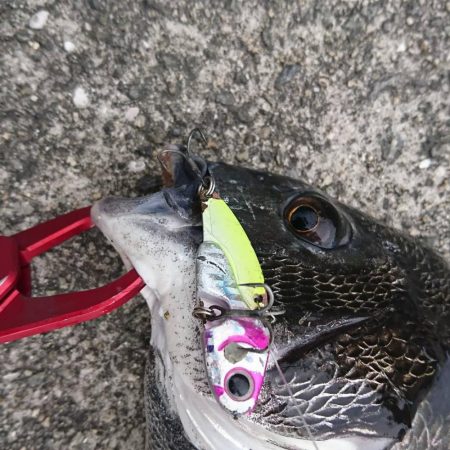 久しぶりに西宮。