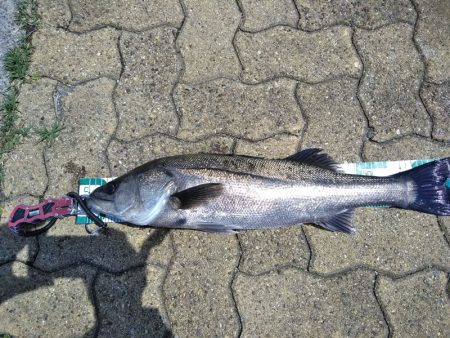 今日もマルチ安打♪♪