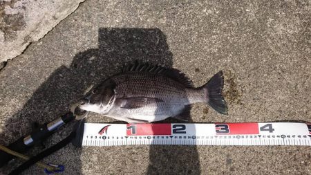 強風でも釣りに行く❗