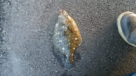 メバリングランガン